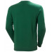 HELLY HANSEN Sweater GRAPHIC GREEN